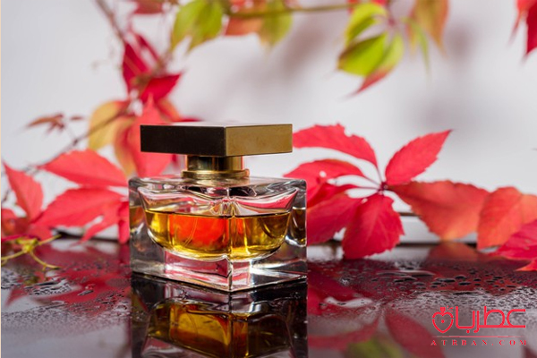 عطر و ادکلن شیرین در فصل پاییز