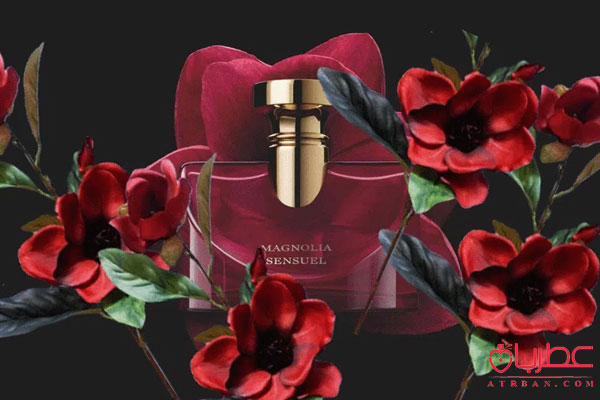 Bvlgari Splendida Magnolia Sensuel