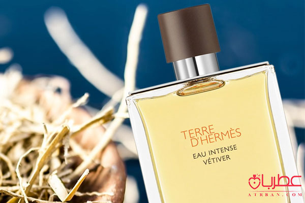 Hermes Terre D’Hermes Eau Intense Vetiver