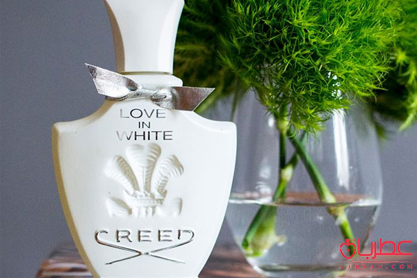 Creed Love in White