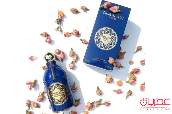 عطر ادکلن گرلن پچولی اردنت