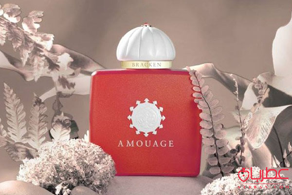 عطر ادکلن آمواج براکن زنانه 