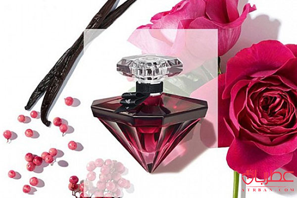 عطر ادکلن لانکوم لا نویت ترزور ای لا فولی