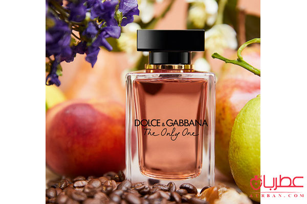 عطر ادکلن دولچه گابانا د اونلی وان