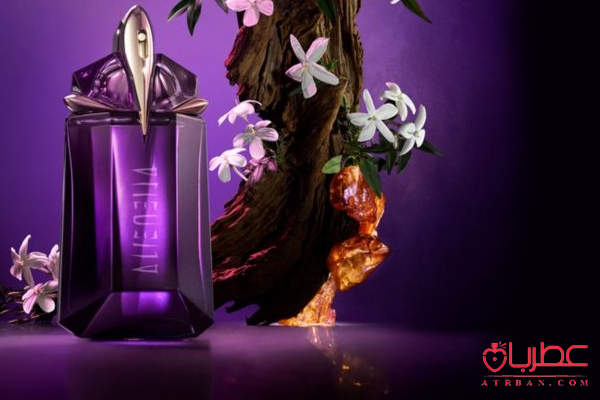 تیری موگلر الین زنانه