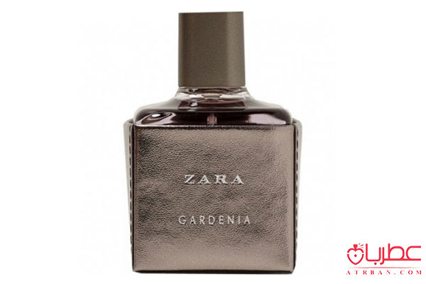 Zara Gardenia 2017