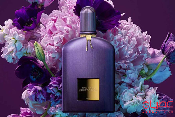 عطر ادکلن تام فورد ولوت ارکید
