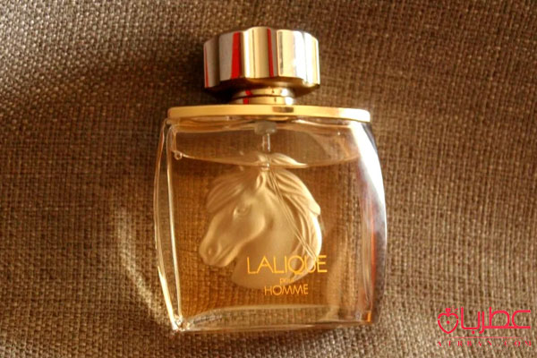 Lalique Pour Homme Equus