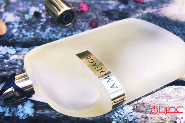 عطر ادکلن آمواج اوپوس سه 