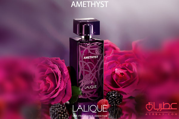 عطر لالیک آمیتیس بنفش زنانه​​​