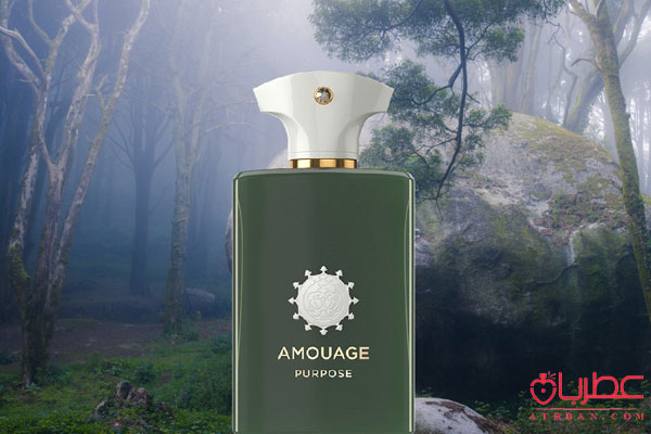 عطر ادکلن آمواج پورپس