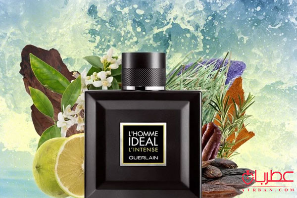 عطر ادکلن گرلن لهوم آیدیل له اینتنس