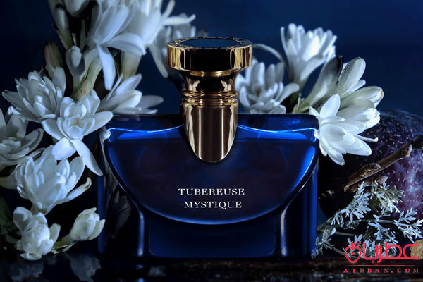 عطر ادکلن بولگاری اسپلندیدا توبرز میستیک