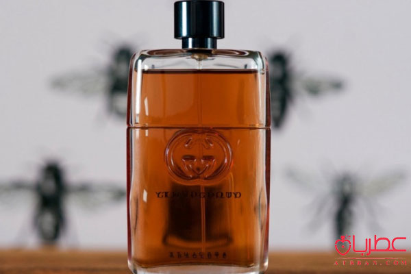 Gucci Guilty Absolute