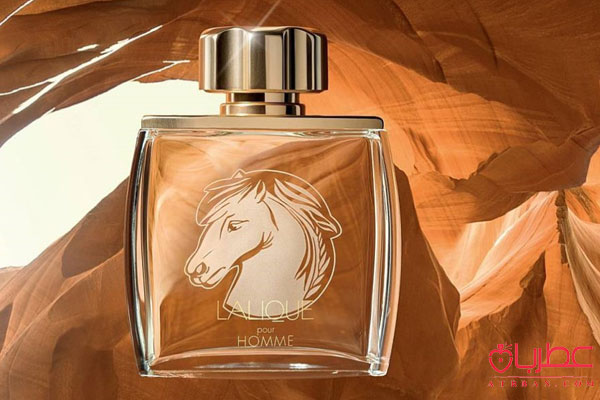 عطر ادکلن لالیک پور هوم ایکوز