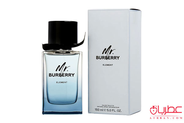 Burberry Mr. Burberry Element