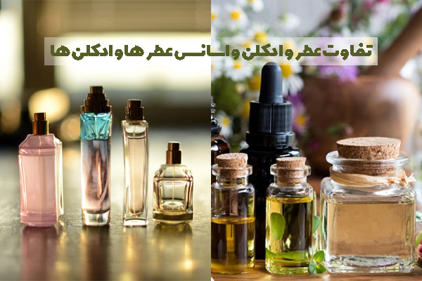 تفاوت عطر و ادکلن و اسانس عطر ها و ادکلن ها