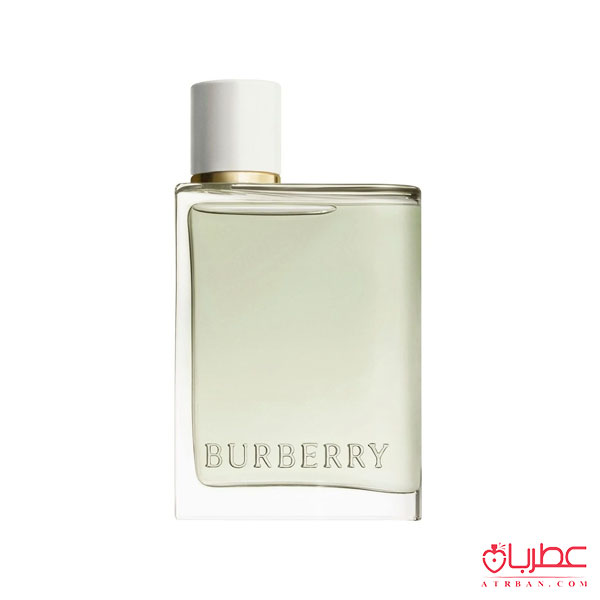 عطر ادکلن باربری هر ادوتویلت زنانه | Burberry Her Eau de Toilette