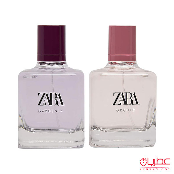 عطر ادکلن زارا گاردنیا و ارکید-دوقلو | Zara gardenia and orchid