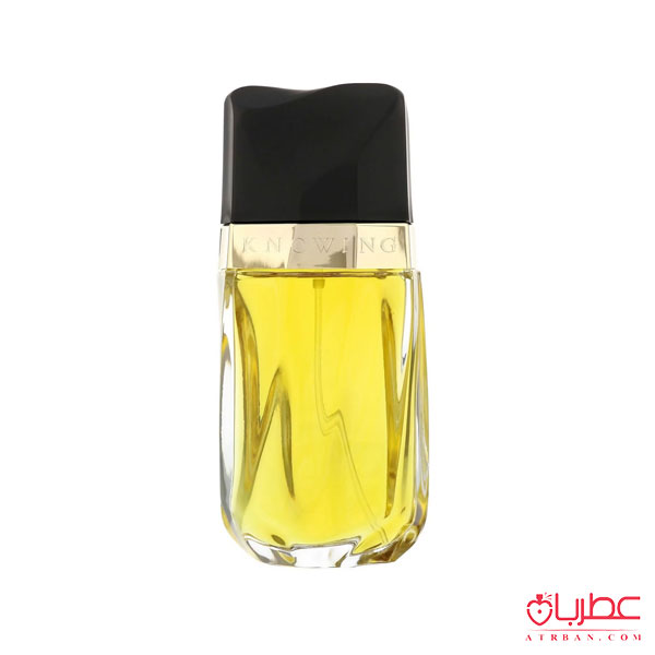 عطر ادکلن استی لودر نویینگ | Estee Lauder Knowing