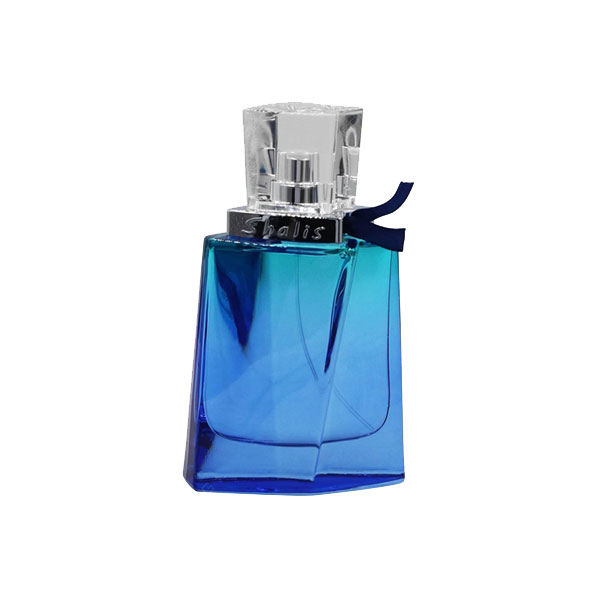 عطر ادکلن رمی مارکویس شالیز مردانه | Remy Marquis Shalis EDT